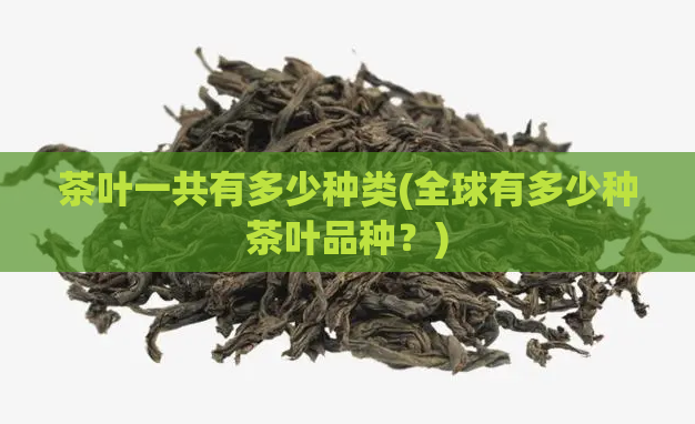 茶叶一共有多少种类(全球有多少种茶叶品种？)