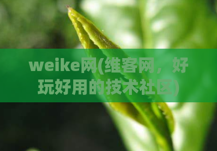 weike网(维客网，好玩好用的技术社区)