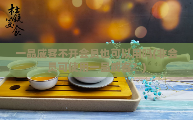 一品威客不开会员也可以用吗(非会员可使用一品威客？)