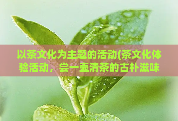 以茶文化为主题的活动(茶文化体验活动，尝一壶清茶的古朴滋味)