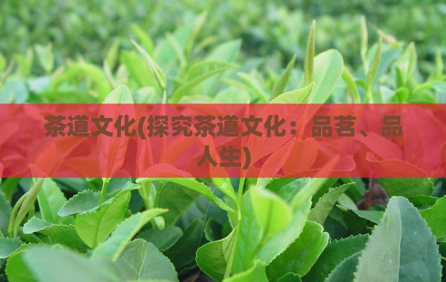 茶道文化(探究茶道文化：品茗、品人生)