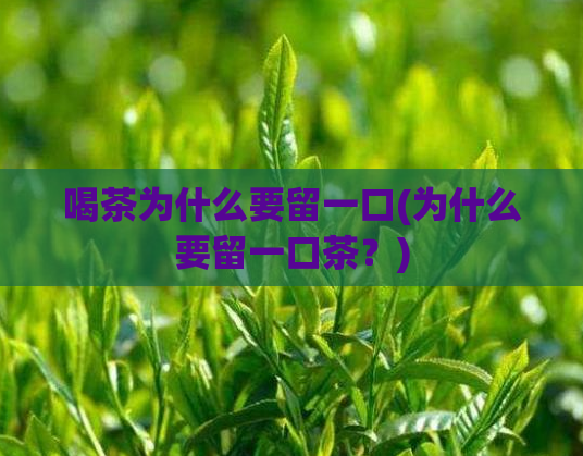 喝茶为什么要留一口(为什么要留一口茶？)