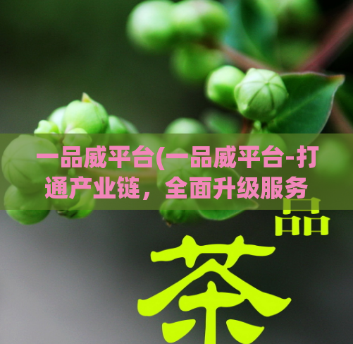 一品威平台(一品威平台-打通产业链，全面升级服务)