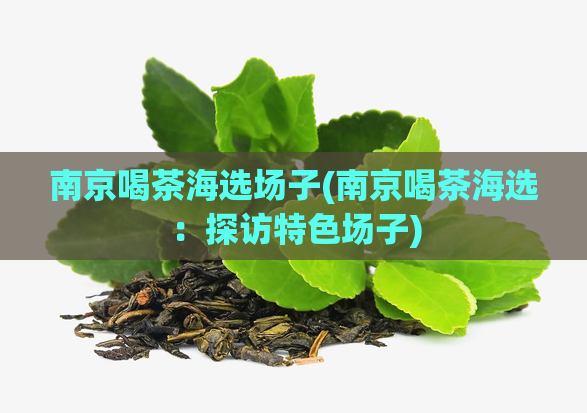 南京喝茶海选场子(南京喝茶海选：探访特色场子)