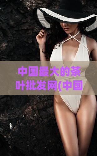 中国最大的茶叶批发网(中国最大茶叶批发网聚焦传统茶文化，供应全国顶级茶叶)