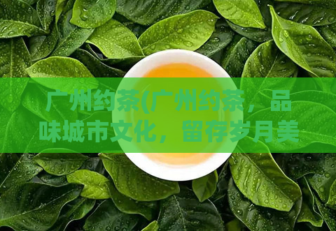 广州约茶(广州约茶，品味城市文化，留存岁月美好)