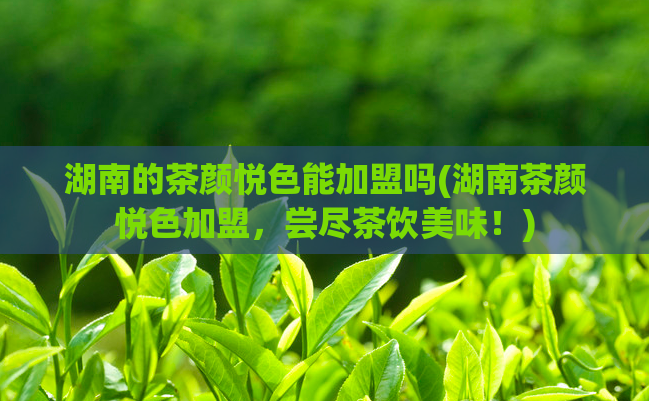湖南的茶颜悦色能加盟吗(湖南茶颜悦色加盟，尝尽茶饮美味！)