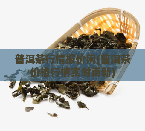 普洱茶行情报价网(普洱茶价格行情实时更新)