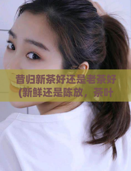 昔归新茶好还是老茶好(新鲜还是陈放，茶叶何者更美味？)