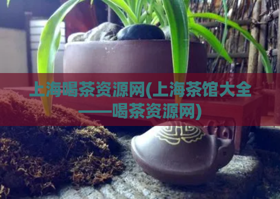 上海喝茶资源网(上海茶馆大全——喝茶资源网)