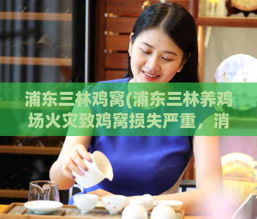 浦东三林鸡窝(浦东三林养鸡场火灾致鸡窝损失严重，消防部门全力扑救。)