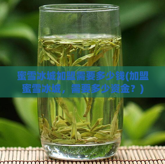 蜜雪冰城加盟需要多少钱(加盟蜜雪冰城，需要多少资金？)