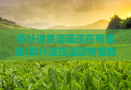 茶叶进货渠道现在有哪些(茶叶进货渠道有哪些？)