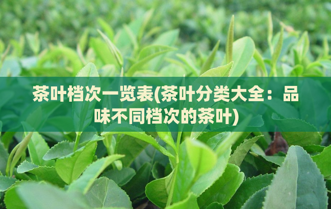 茶叶档次一览表(茶叶分类大全：品味不同档次的茶叶)