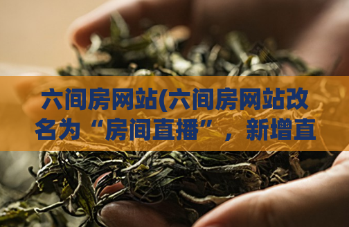六间房网站(六间房网站改名为“房间直播”，新增直播功能，新标题为“房间直播：玩转更多互动，尽享直播乐趣！”)