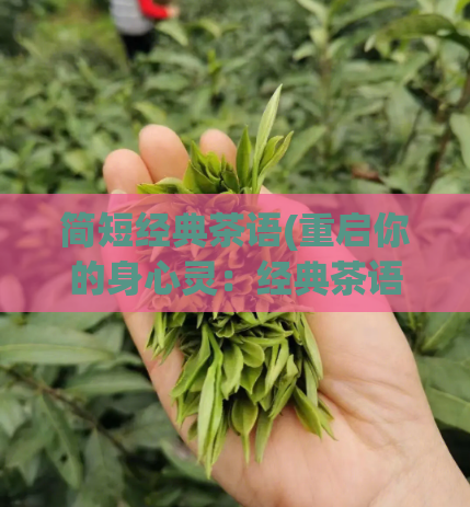 简短经典茶语(重启你的身心灵：经典茶语简明解读)
