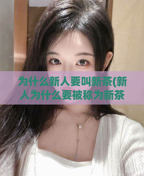为什么新人要叫新茶(新人为什么要被称为新茶？)