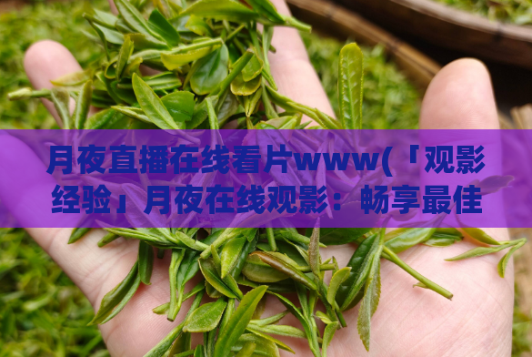 月夜直播在线看片www(「观影经验」月夜在线观影：畅享最佳视觉盛宴！)