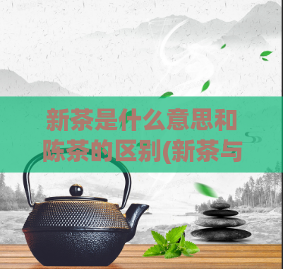 新茶是什么意思和陈茶的区别(新茶与陈茶的区别是什么？)