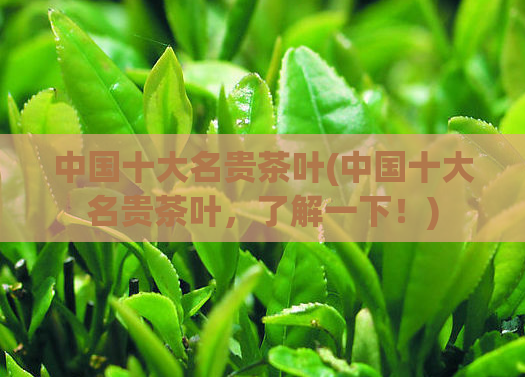 中国十大名贵茶叶(中国十大名贵茶叶，了解一下！)