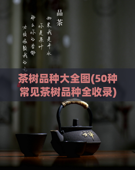 茶树品种大全图(50种常见茶树品种全收录)