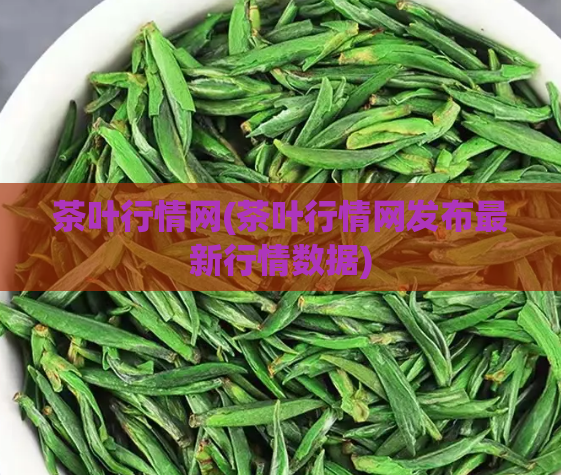 茶叶行情网(茶叶行情网发布最新行情数据)