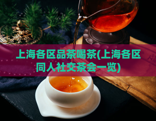 上海各区品茶喝茶(上海各区同人社交茶会一览)