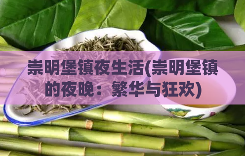 崇明堡镇夜生活(崇明堡镇的夜晚：繁华与狂欢)