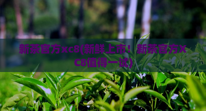 新茶官方xc8(新鲜上市！新茶官方XC8值得一试)