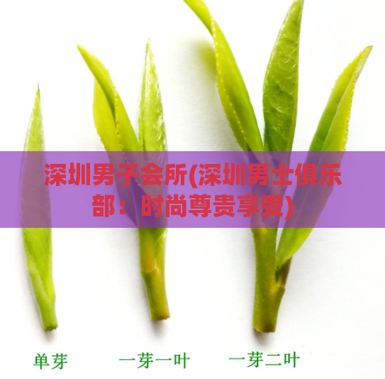 深圳男子会所(深圳男士俱乐部：时尚尊贵享受)