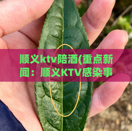 顺义ktv陪酒(重点新闻：顺义KTV感染事件垫底陪酒，引发公众担忧)