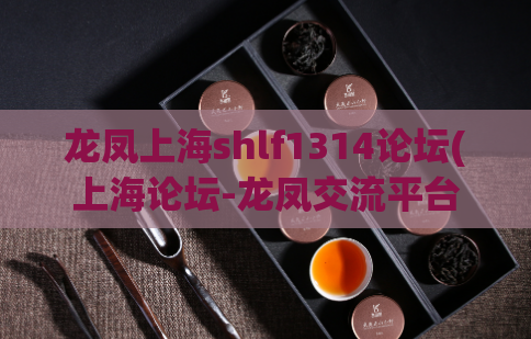 龙凤上海shlf1314论坛(上海论坛-龙凤交流平台)