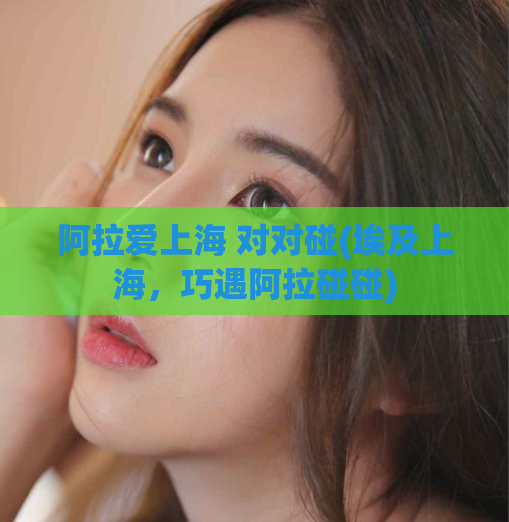 阿拉爱上海 对对碰(埃及上海，巧遇阿拉碰碰)