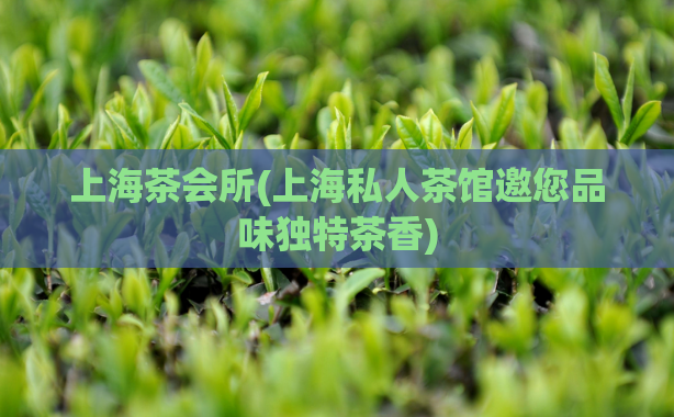 上海茶会所(上海私人茶馆邀您品味独特茶香)