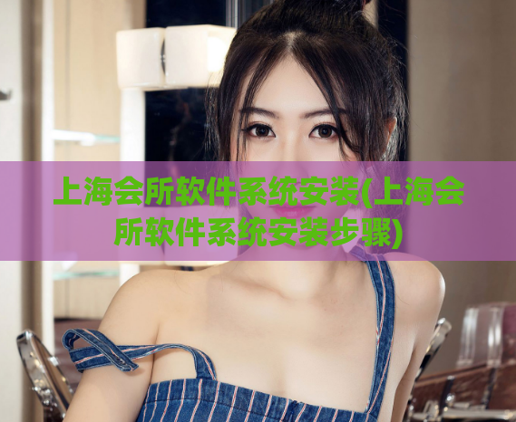 上海会所软件系统安装(上海会所软件系统安装步骤)