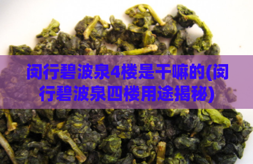 闵行碧波泉4楼是干嘛的(闵行碧波泉四楼用途揭秘)