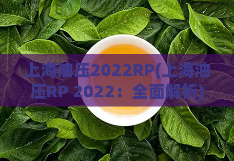 上海油压2022RP(上海油压RP 2022：全面解析)