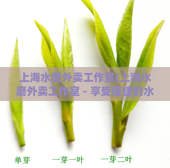 上海水磨外卖工作室(上海水磨外卖工作室 - 享受便捷的水磨服务)