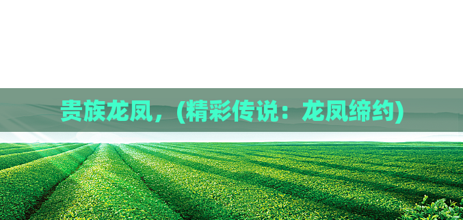 贵族龙凤，(精彩传说：龙凤缔约)