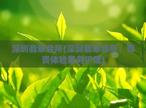 深圳翡翠会所(深圳翡翠会所：尊贵体验商务护理)