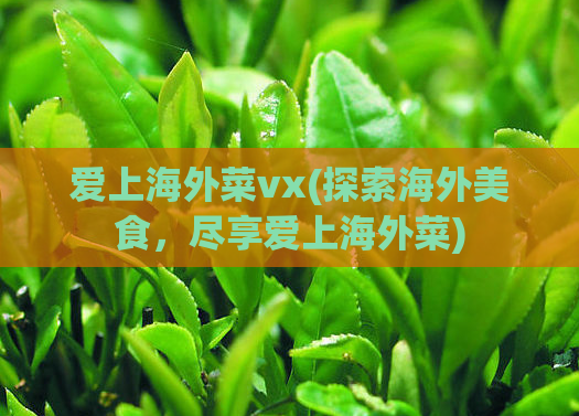 爱上海外菜vx(探索海外美食，尽享爱上海外菜)