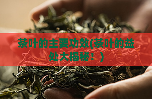 茶叶的主要功效(茶叶的益处大揭秘！)