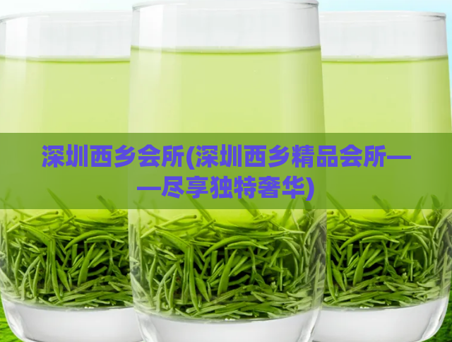 深圳西乡会所(深圳西乡精品会所——尽享独特奢华)