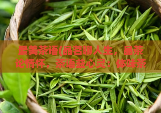 最美茶语(品茗聊人生，品茶论情怀，茶语益心灵：体味茶之美。)