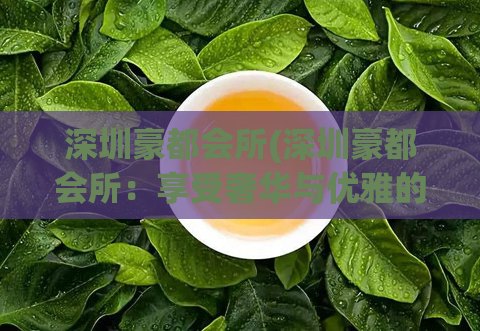 深圳豪都会所(深圳豪都会所：享受奢华与优雅的绝佳选择)