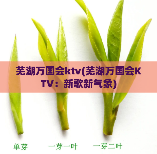 芜湖万国会ktv(芜湖万国会KTV：新歌新气象)