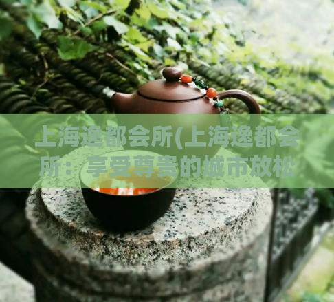上海逸都会所(上海逸都会所：享受尊贵的城市放松时光)