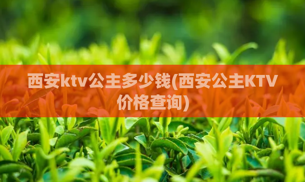 西安ktv公主多少钱(西安公主KTV价格查询)