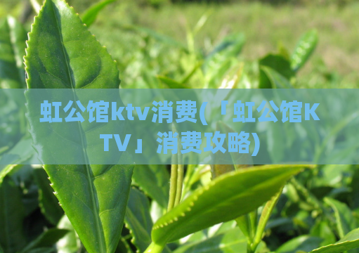 虹公馆ktv消费(「虹公馆KTV」消费攻略)
