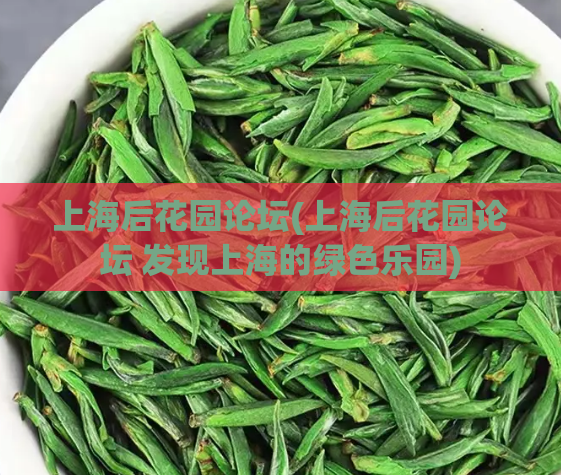 上海后花园论坛(上海后花园论坛 发现上海的绿色乐园)
